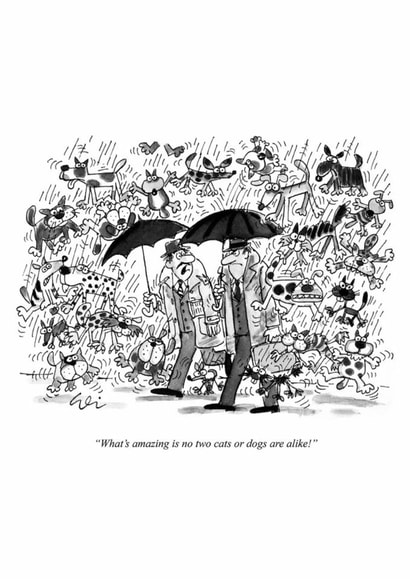 Funny Birthday Card - Raining Cats And Dogs created by Punch Limited