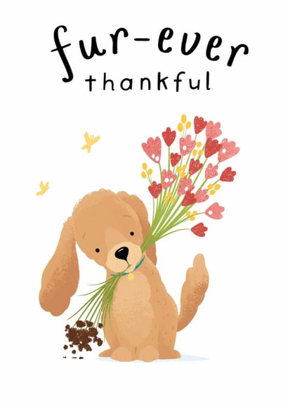 Cute Thank You Card - Forever Thankful - Cocker Spaniel Fur-ever Thankful created by Illustrated by Lini