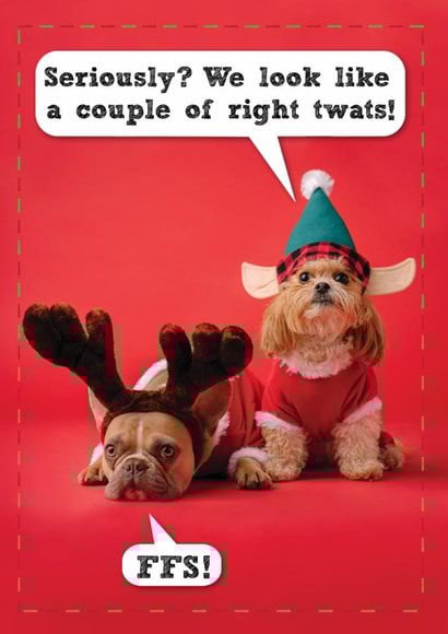 Funny Christmas Card - Dogs - We Look Like A Couple Of Right Twats! created by Brainbox Candy