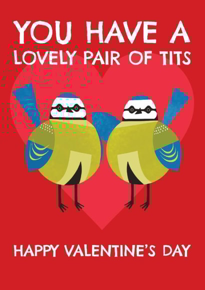 Funny Valentine's Day Card - Lovely Pair Of Tits created by AbiGoLucky