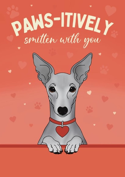 Cute Valentine's Day Card - From The Dog - Italian Greyhound created by Choo Choo 