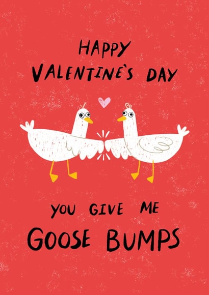 Funny Valentine's Day Card - Goose Bumps created by Dandelion Stationery