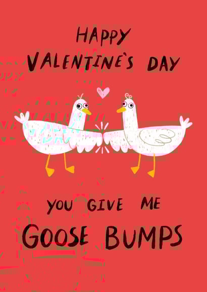 Funny Valentine's Day Card - Goose Bumps created by Dandelion Stationery