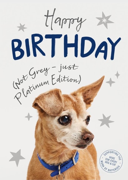 Cute Birthday Card - Platinum Edition - Battersea Charity Card created by Cardology