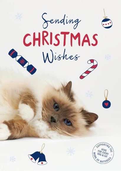 Cute Christmas Card - Fluffy Cat - Battersea Charity created by Cardology