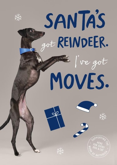 Funny Christmas Card - Dancing Dog - Battersea Charity Card created by Cardology