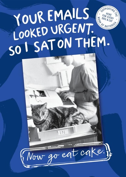 Funny Birthday Card - Cheeky Cat - Urgent Emails - Battersea Heritage History Card created by Cardology
