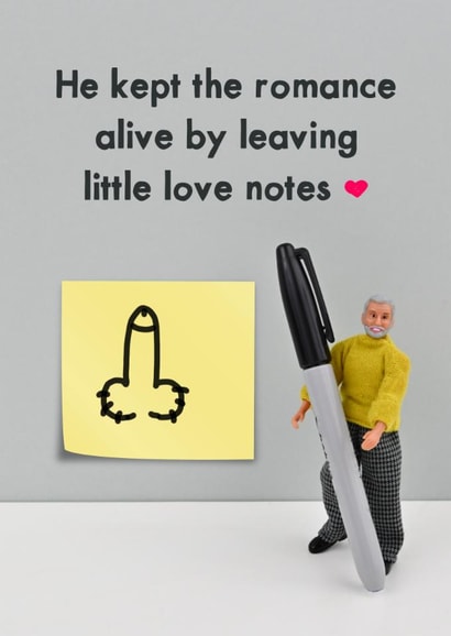 Funny Valentine's Card - For Her - Cheeky Love Notes created by Bold & Bright Cards