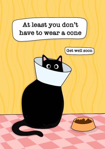 Funny get well soon card - cat with wearing a cone created by Deadpixel
