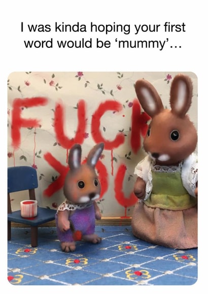 Rude Birthday Card – Parenting – Baby’s First Word created by Brainbox Candy