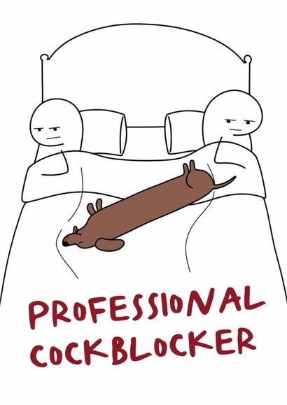 Funny Valentine's Card for Dog Owners - Professional Cockblocker - From the Dog created by Hey Bungalow Designs