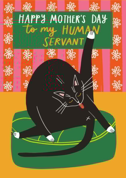 Funny Mother's Day Card | Funny Cat | Licked my bum created by AbiGoLucky