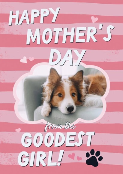 Cute Mother's Day Card - From The Dog - Goodest Girl created by Sweetlove Press