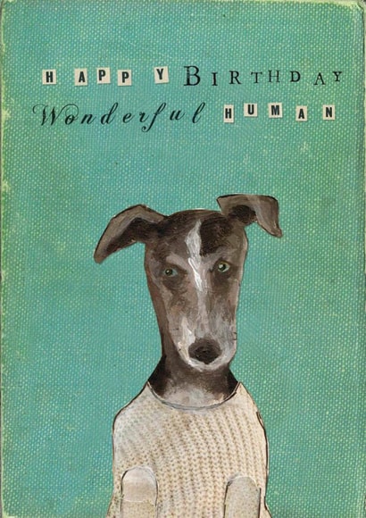 Dog in jumper - Birthday card - whippet - greyhound - lurcher created by Greyling Post