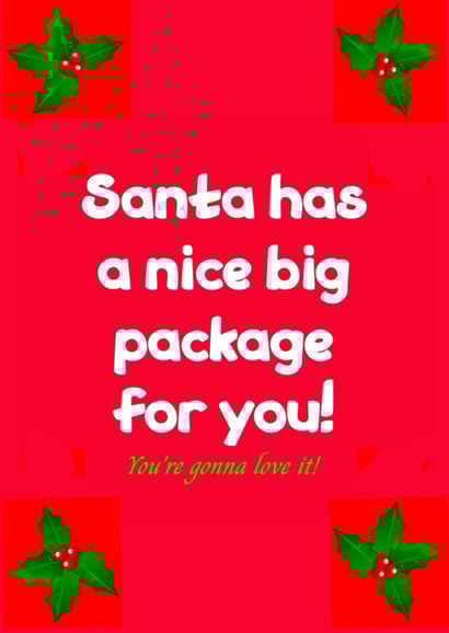Santa's Package created by  Bold DeeZinz