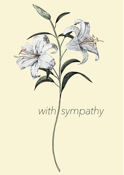 With Sympathy Card - White Lily Sympathy Card - Hand Drawn Art Card created by Oliver Stockley