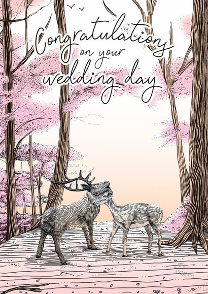 Wedding Card - Animal-Themed Woodland Wedding Card - Beautiful Hand Drawn Card created by Oliver Stockley