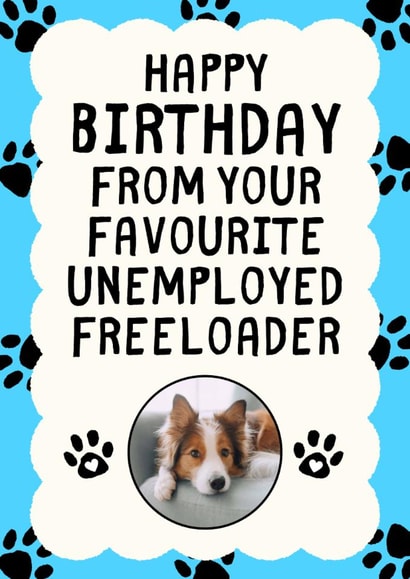 Funny Birthday Card - From The Pet - Unemployed Freeloader created by Sundiva Designs