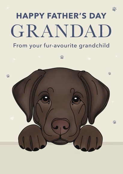 Cute Father's Day Card - For Grandad - Chocolate Labrador created by Choo Choo