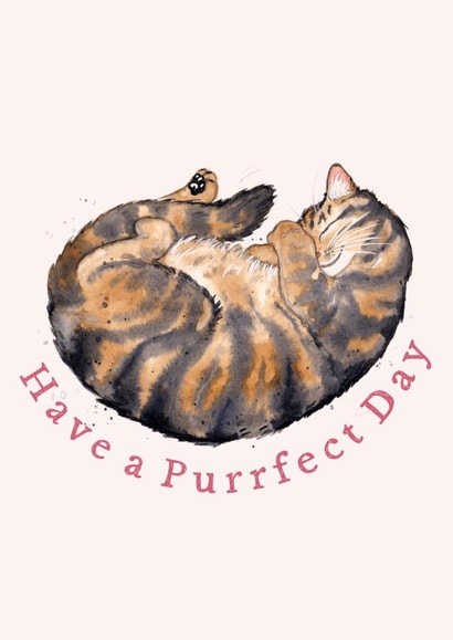 The purrrrfect card for a brown tabby cat lover, from you or from the cat! created by Amy Holliday