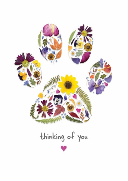Thoughtful Floral Paw print Card for Pet Loss - thinking of you created by Leanne Munro