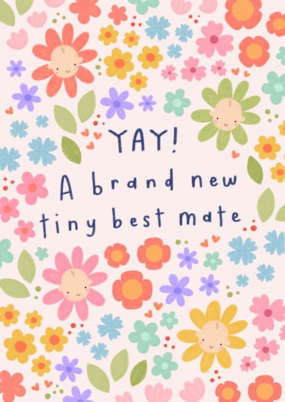 Pretty New Baby Card - Brand New Best Mate created by katie illustrated