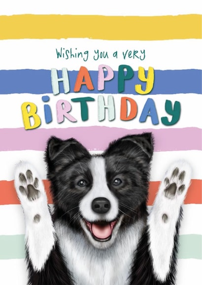 Funny Birthday Card - Border Collie - From The Dog created by badgerbee design