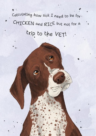 Cute Just Because Card - Chicken And Rice - From The Dog created by Dandelion Stationery