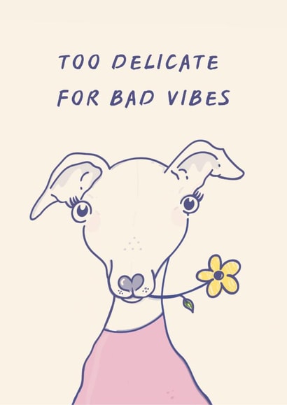 Funny Dog Lover Card | Too Delicate For Bad Vibes | Whippet Greyhound Card created by Brooke Davies