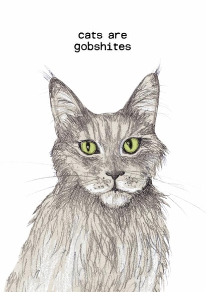 Funny Birthday/Just Because Card - Cats Are Gobshites created by The Curious Pancake