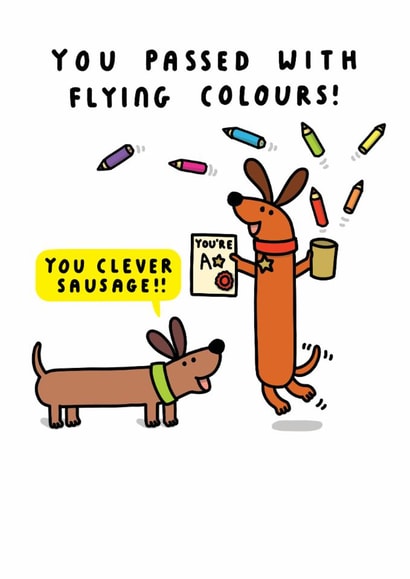 Funny Exam/Congratulations Card - Passed With Flying Colours - Clever Sausage created by mungo and shoddy