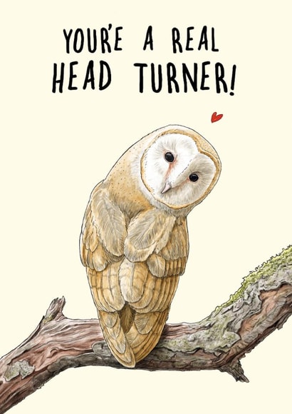 Funny Anniversary Card - You're A Real head Turner - Owl created by Bewilderbeest