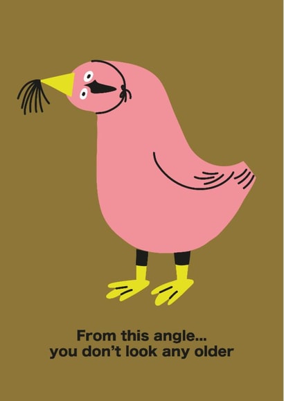 Funny Birthday Card - Cheeky Seagull - You Don't Look Any Older created by Seekprint
