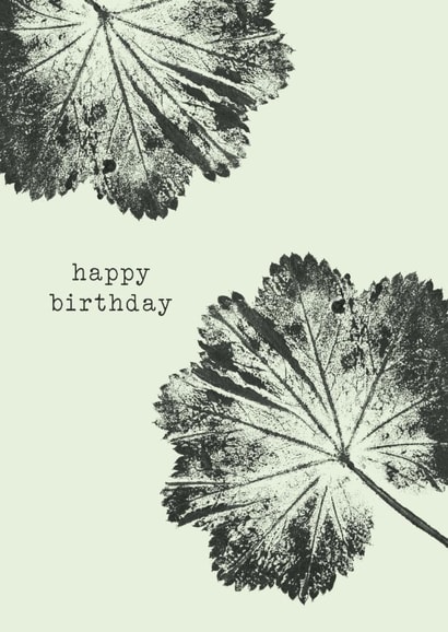 Classic Birthday Card – Alchemilla Mollis created by Unfurling Press