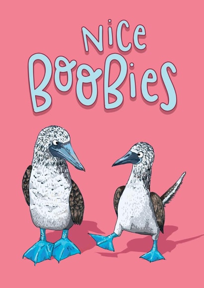 Boobies Funny Rude card for Anniversary/Love/Valentine's/Birthday card for Her created by Lovely Paper Stuff ltd