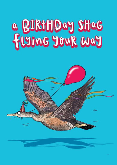 Funny Rude Birthday Card, Shag Bird Pun for Him/Her/Partner/Boyfriend/Girlfriend created by Lovely Paper Stuff ltd
