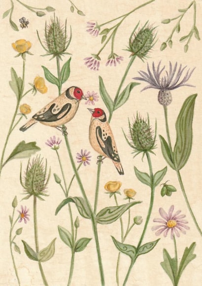 Pretty Just Because Card - Goldfinch Birds - Flowers created by Zoe Pearl