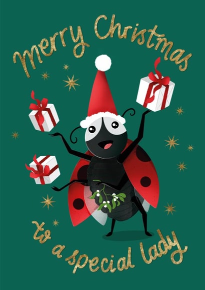 Cute Christmas Card - Lady Bird - Special Lady created by Suzanne Brearley Design