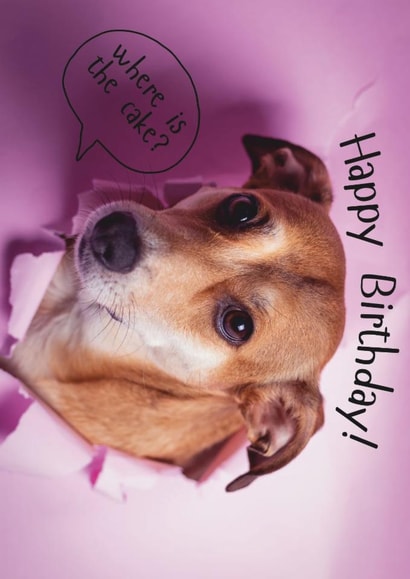 Happy Birthday Where Is The Cake Funny Dog Card – Cute Puppy Pink Birthday Card created by Paws and Post