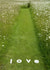love grass Valentines Day Card 22010 created by Image Source