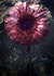 Red flower frozen in time - dark & moody - for a friend or someone you love created by Chantal Pronk