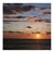 sunset bird Card 23350 created by Jonathan Hyde