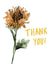 Flower Thank Thank You Card 1147 created by Katie Tomlinson