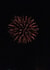 Fireworks Blank Photography Card 24771 created by Taliah C