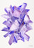 amethyst gem Card 26224 created by Cat Coquillette