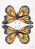 butterfly MALE Card 26227 created by Cat Coquillette