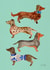 dachshund puppy Card 3620 created by Cat Coquillette
