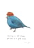 bird hat Just because... Card 3262 created by Marc Johns