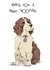 Spaniel dog happy “woofday” birthday  created by Ryland Studios
