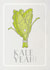 Kale Celebration and Encouragement Card created by Tami Boyce